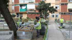 Trabajos de mantenimiento del espacio público del Pla d´Ocupació / AJUNTAMENT DE BCN