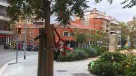 Una bicicleta colgada de un árbol en la Plaça Sanllehy, Gràcia.
