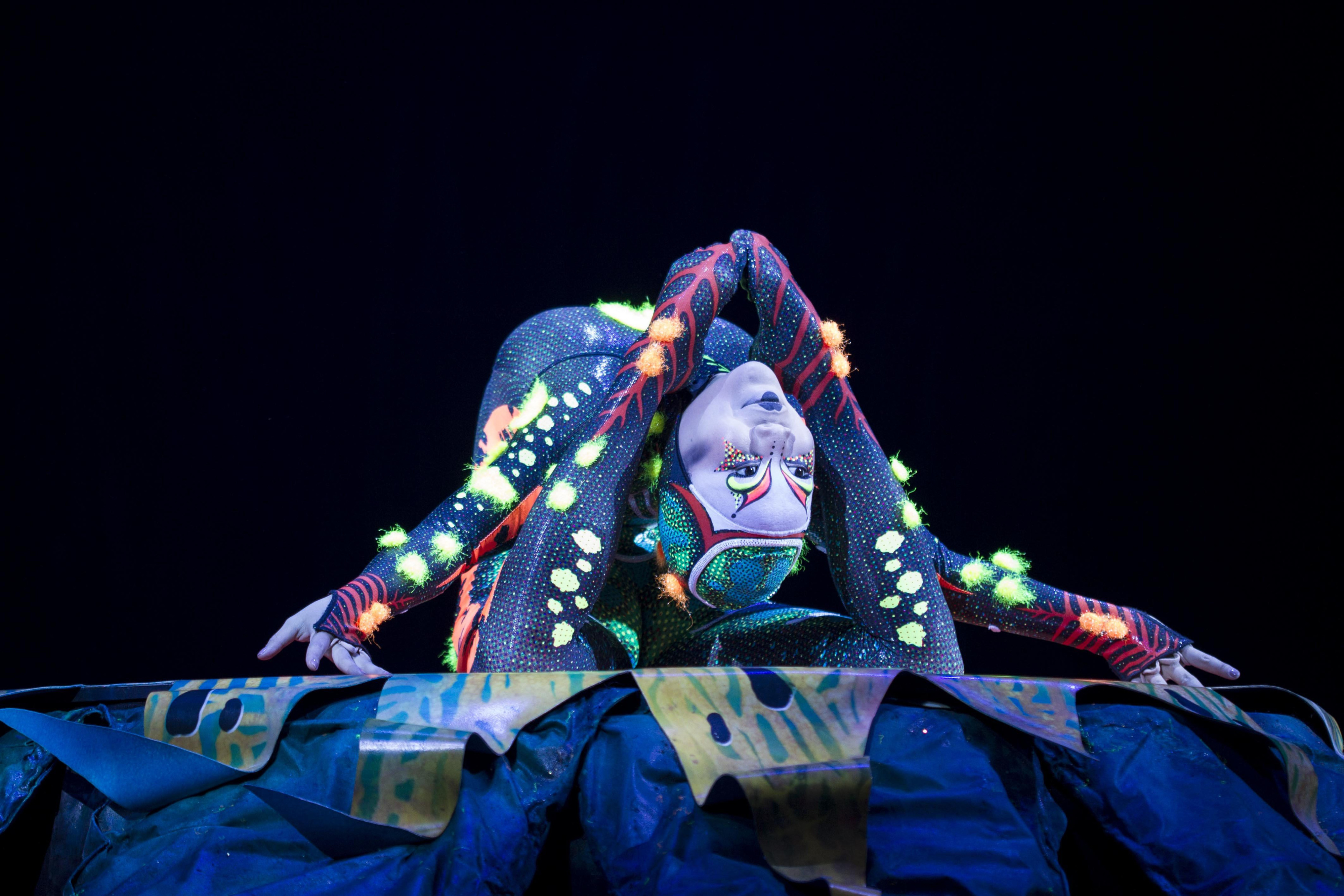 Una escena de TOTEM del Cirque du Soleil / HUGO FERNÁNDEZ