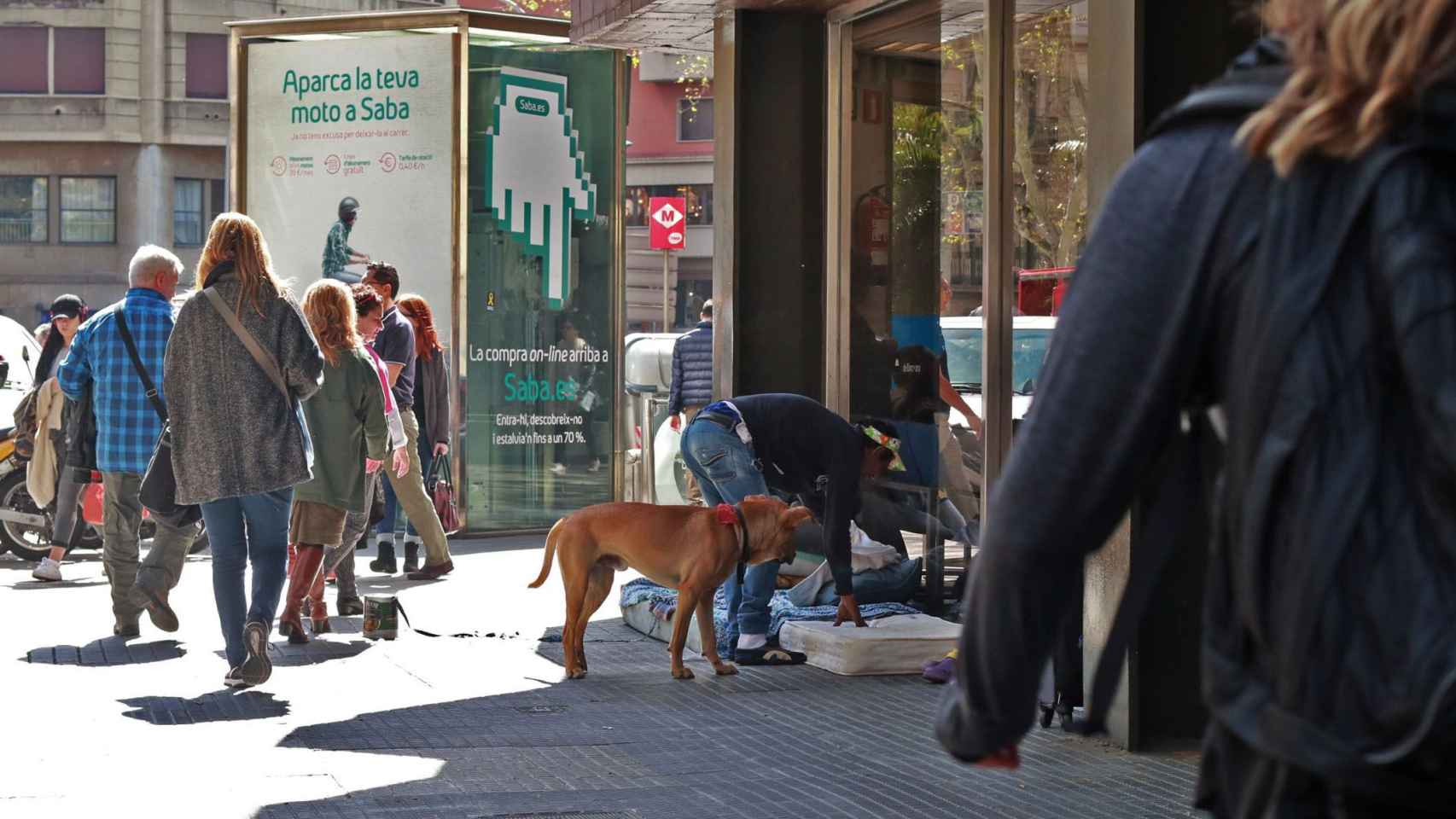 Una persona sin techo con su perro arregla un colchon en una calle del Eixample / HUGO FERNÁNDEZ