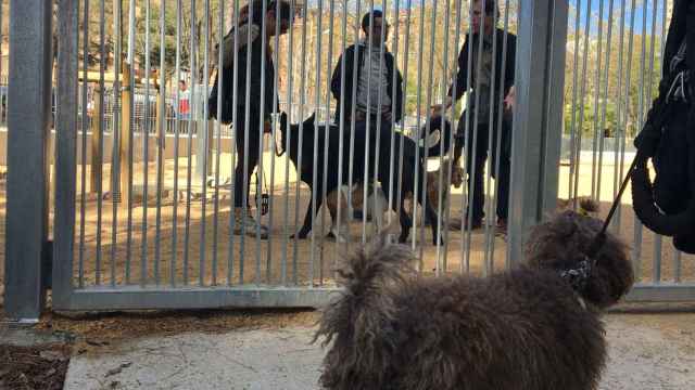 Los propietarios de perros de Barcelona se han unido para protestar por la falta de espacios para sus mascotas y el cierre de parques  decretado por Colau / XAVIER