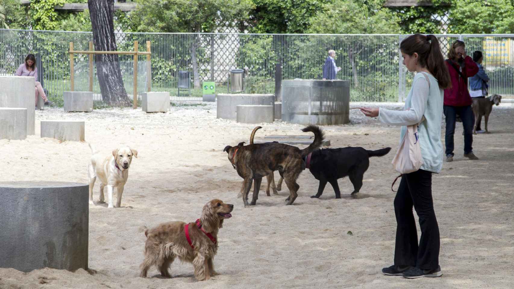 Vecinos con sus perros en un pipicán de Barcelona / HUGO FERNÁNDEZ