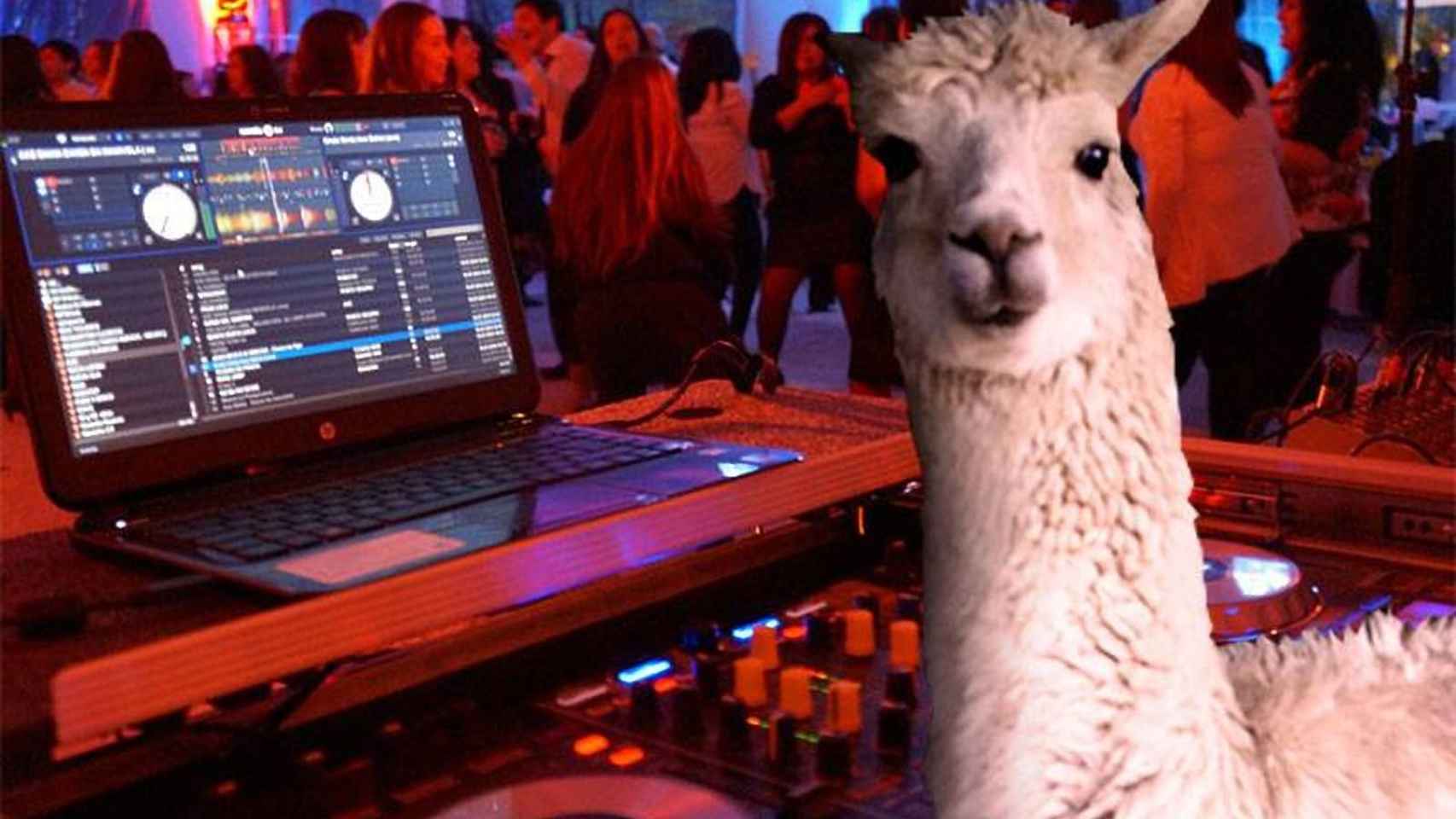 DJ Alpaca es el disc jockey residente de la fiesta / SONIDO ALPACA