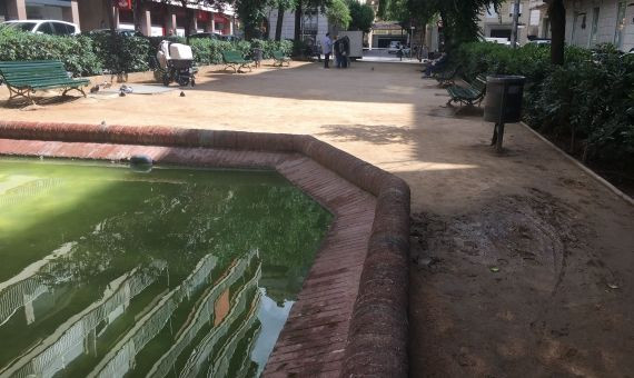 Barro y estanque verde en la plaza d'Adrià | P.B.