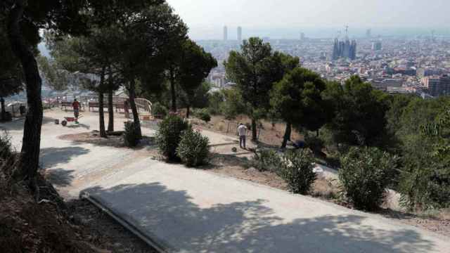 Uno de los caminos con Hormigón en el parque del Guinardó / HUGO FERNÁNDEZ