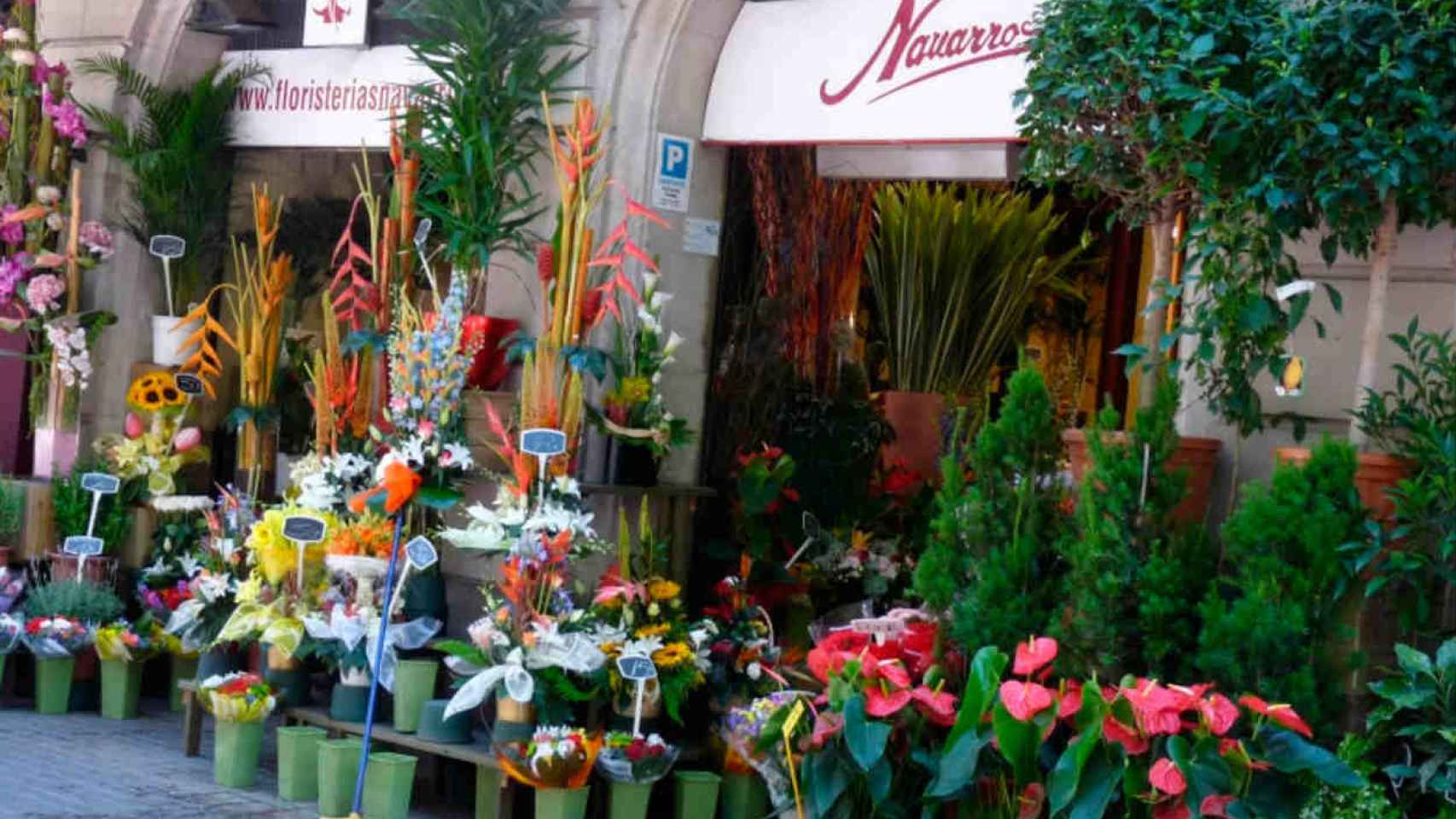 Los floristas exigen una nueva normativa que regule el sector