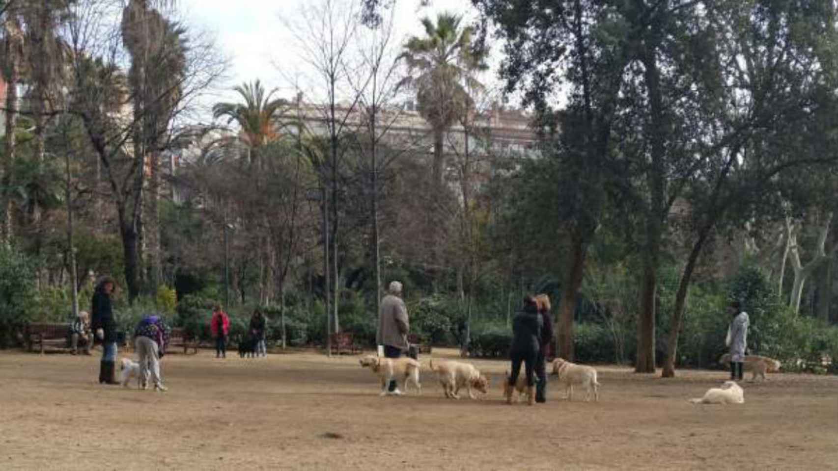 Los perros podrán seguir yendo sueltos / AVV Turó Park