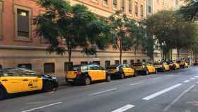 Taxis aparcados frente al Hospital Clínic ofreciendo servicio gratuito dentro de la huelga que han protagonizado / PABLO ALEGRE