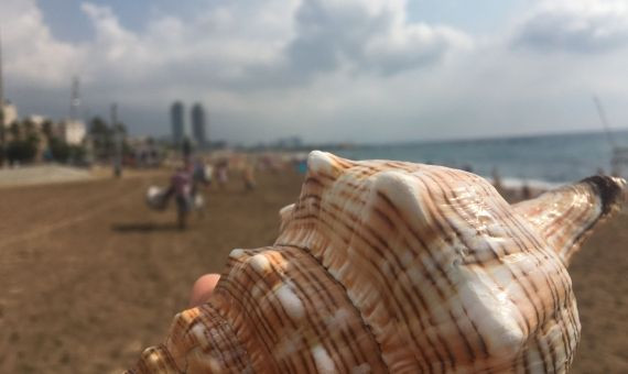 Caracolas sonoras este martes en la playa de Sant Sebastià / LAURA GUERRERO