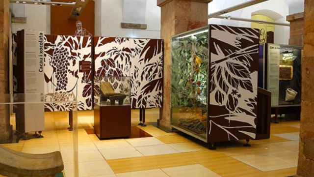 Museo del Chocolate de Barcelona / MUSEU DE LA XOCOLATA