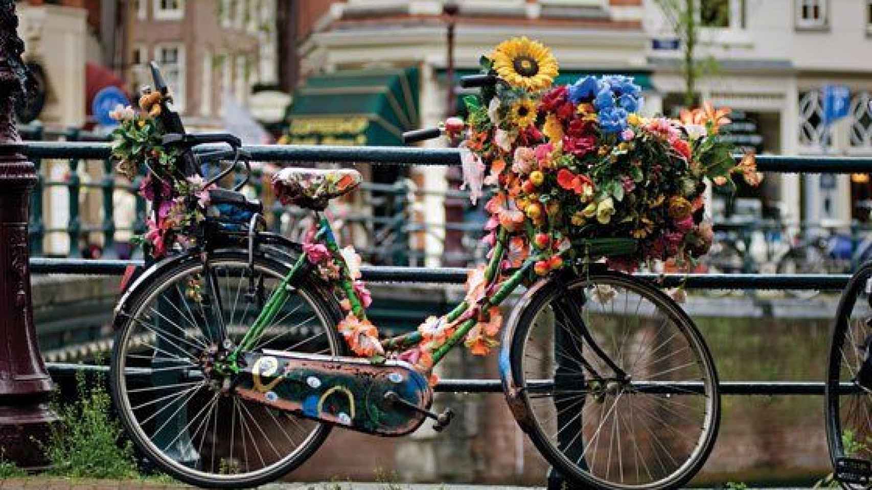 Ámsterdam es conocida como la capital de la bicicletas y pretende aniquilar los alquileres turísticos