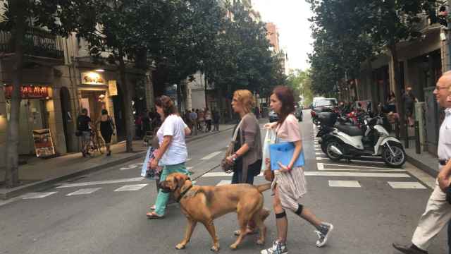 Peatones cruzando un paso de cebra en la calle Gran de Gràcia / METRÓPOLI