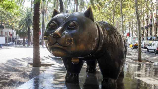 El gato de bronce de Botero que da la bienvenida a la Rambla del Raval / H.F.