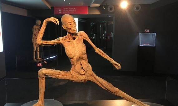 Uno de los cuerpos en la muestra 'Human Bodies' | PAULA BALDRICH