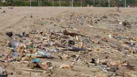La basura se acumula en las orillas de las playas del Fòrum / HUGO FERNÁNDEZ