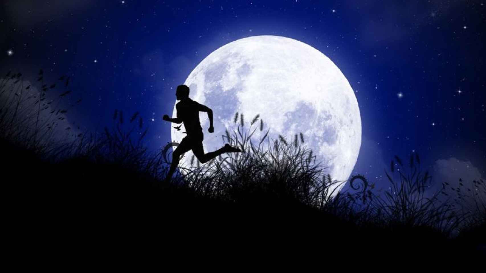 Full Moon Run