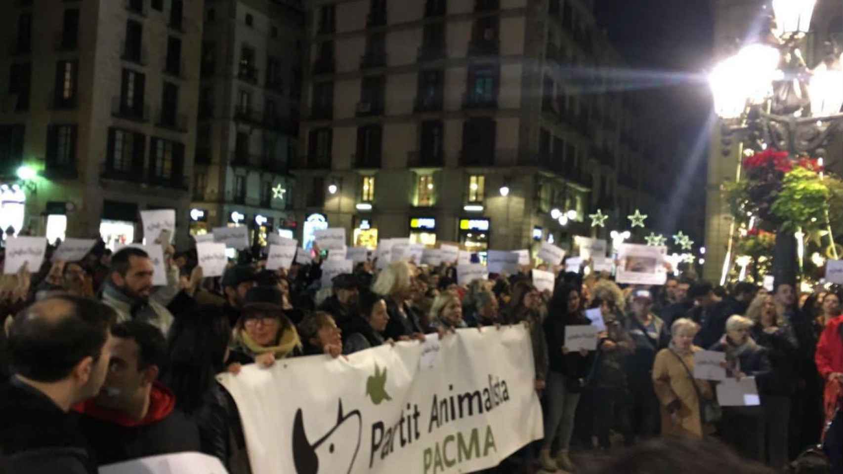Concentración en la plaza de Sant Jaume por la muerte de la perra 'Sota' / Pacma