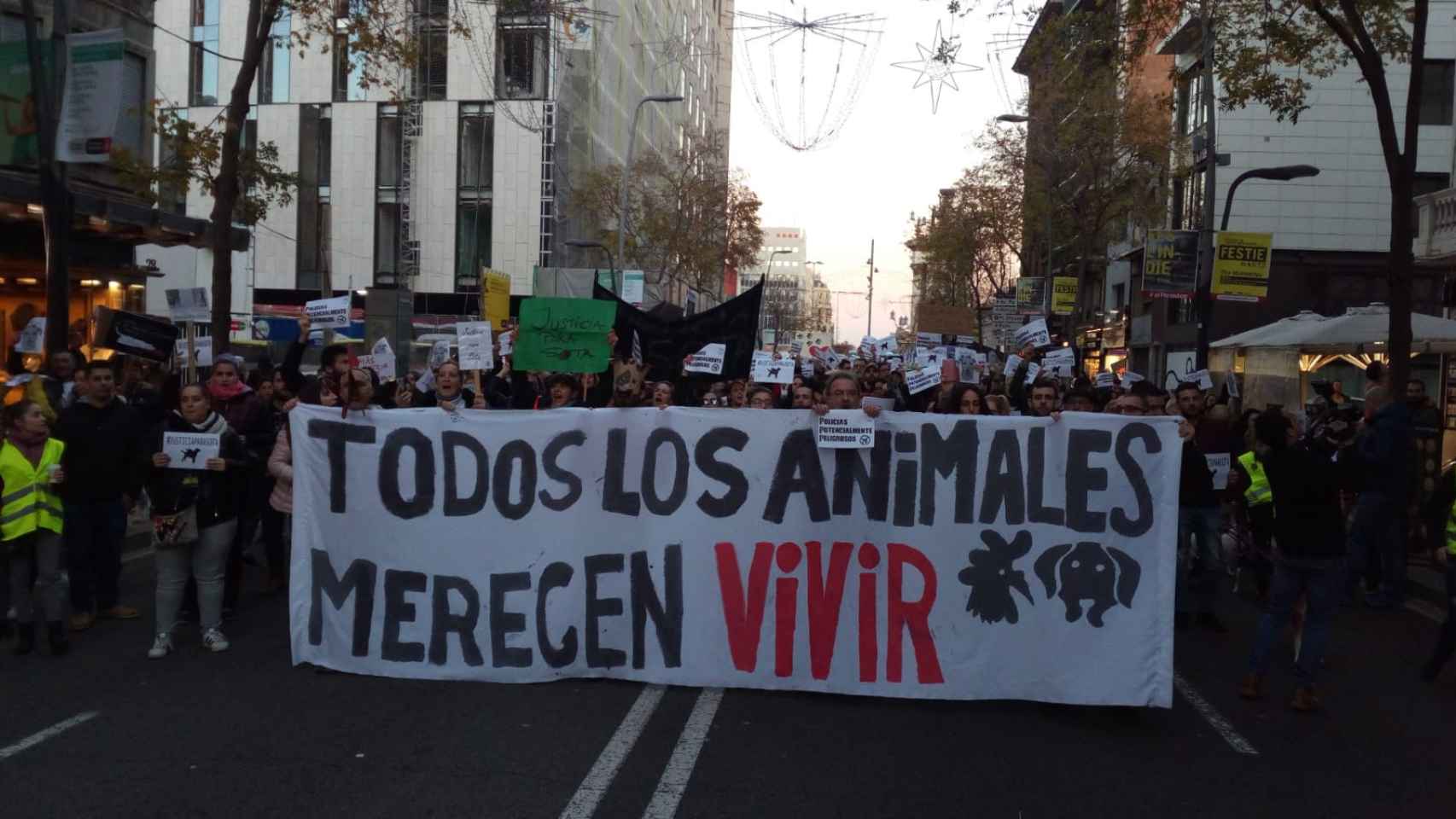 Miles de manifestantes en la marcha por la perra 'Sota' en Barcelona / HUGO FERNÁNDEZ