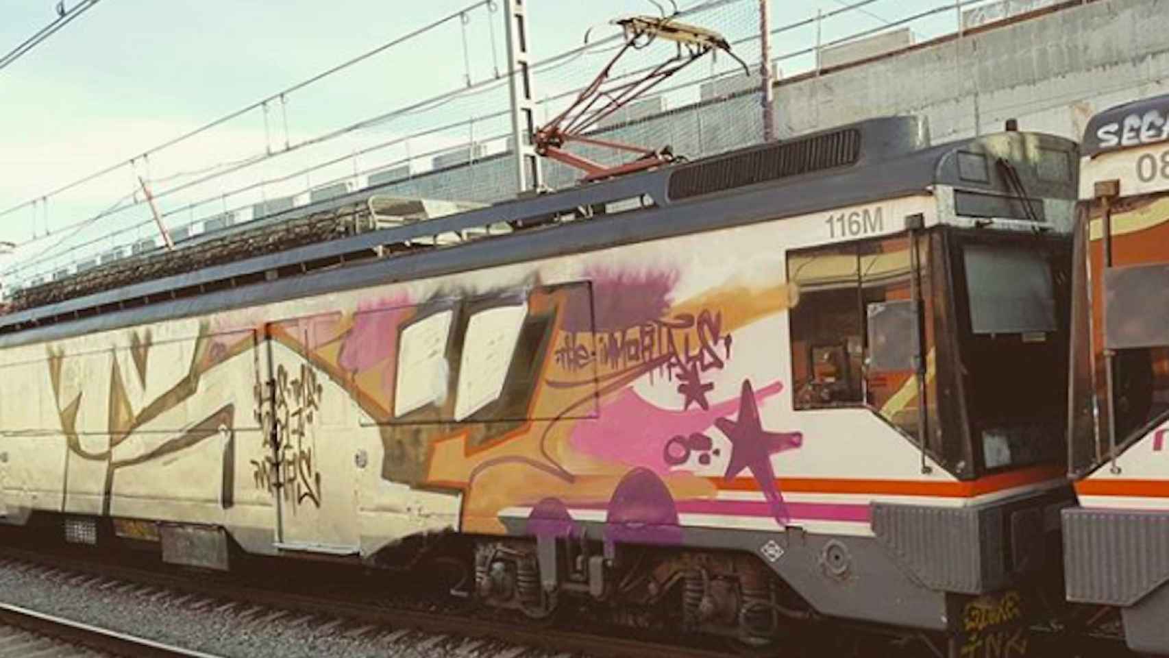 Un tren de cercanías pintado con grafitis en la estación de Sant Andreu Comtal / INSTAGRAM