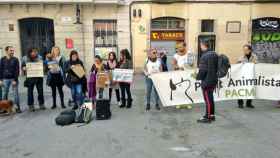 Protesta de Pacma para exigir la prohibición de los carruajes tirados por caballos / @pacmacatalunya