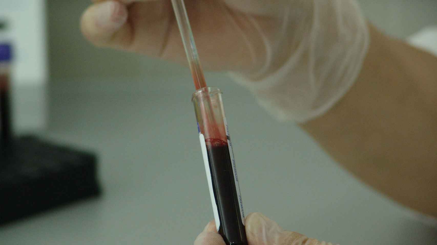 Un científico analiza una muestra de sangre en el laboratorio