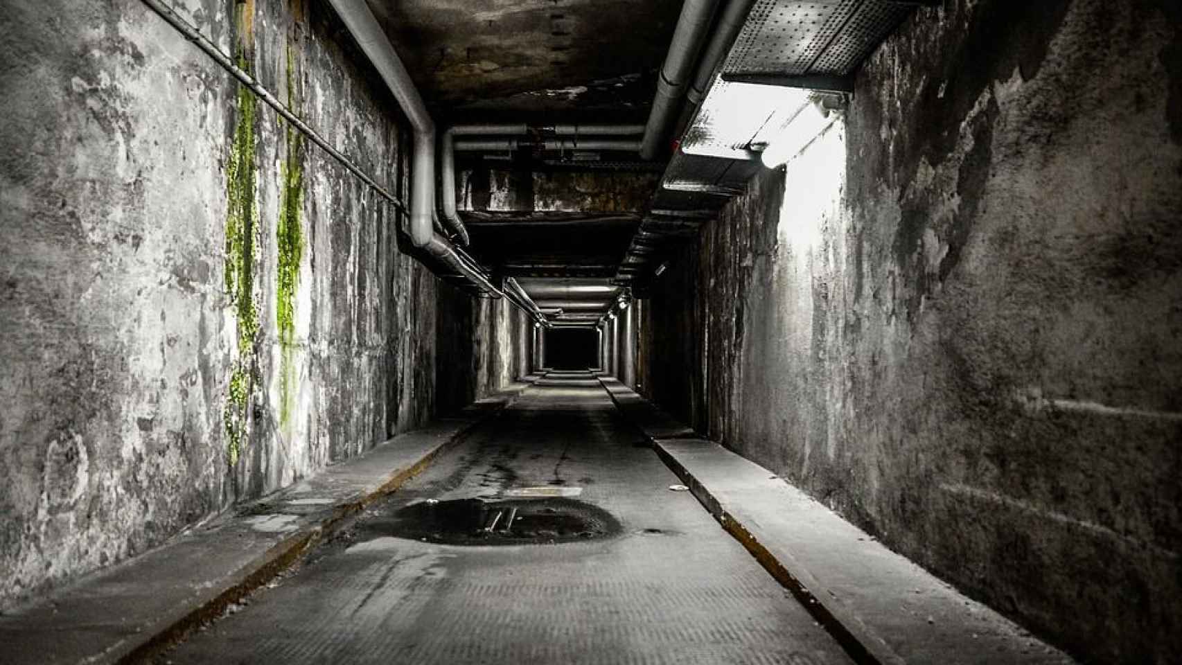 Túnel del miedo del año pasado en Horrorland / PIXABAY