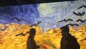 Visitantes disfrutando en la exposición inmersiva de 'Meet Vincent Van Gogh' / PAULA BALDRICH