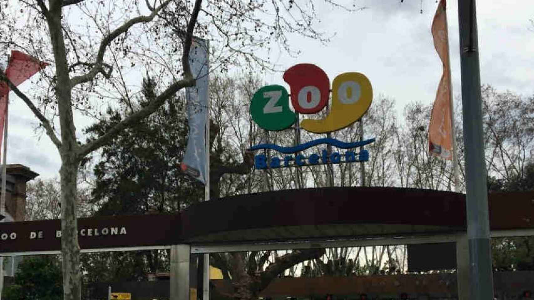 Colau aprueba la reconversión del Zoo en el último pleno del mandato / Archivo
