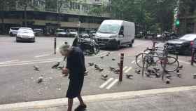 Una mujer de avanzada edad da de comer a las palomas en Barcelona