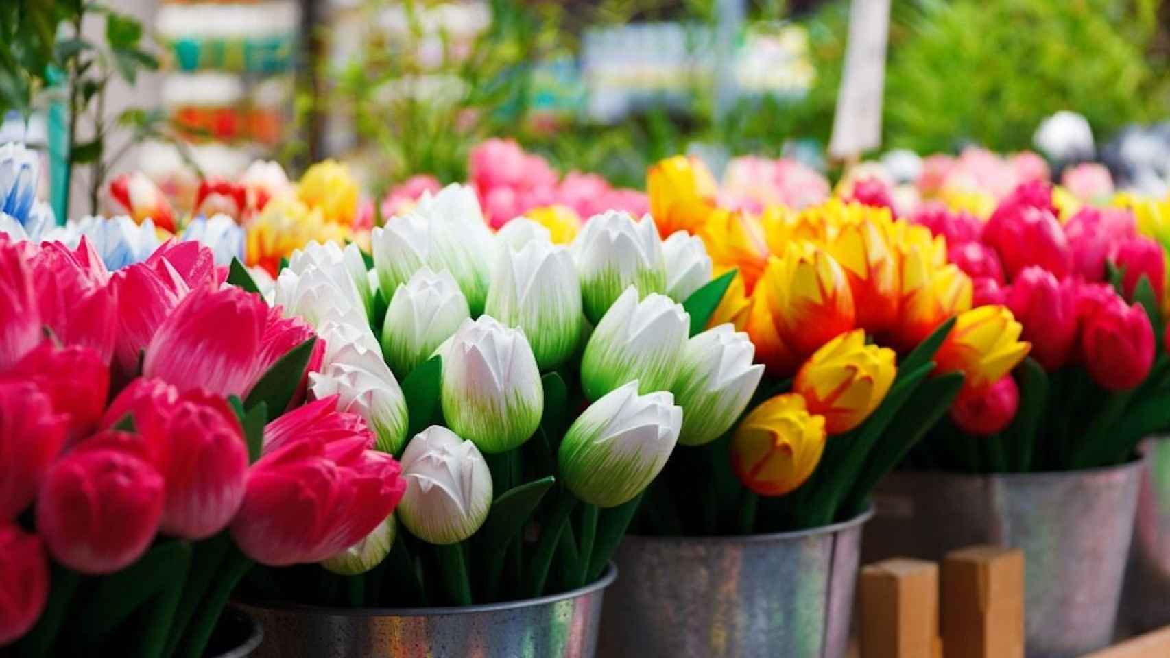 Tulipanes de colores en el Mercado de las Flores de Ámsterdam / PIXABAY