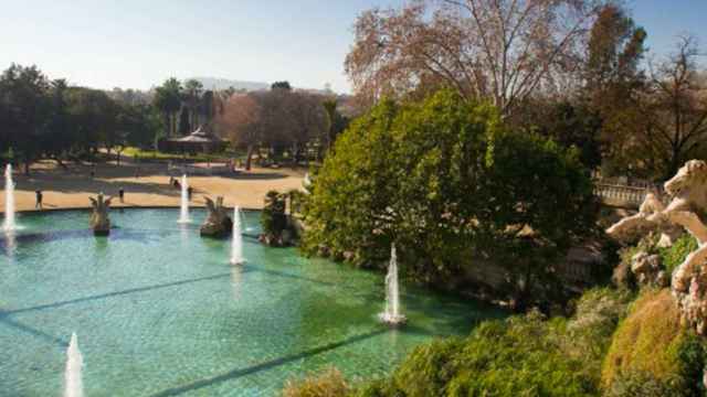 Parque de la Ciutadella, perfecto para hacer un pícnic / AYUNTAMIENTO DE BARCELONA