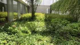 Los jardines de la Guardia Urbana, llenos de plantas y sin ningún mantenimiento / SAPOL