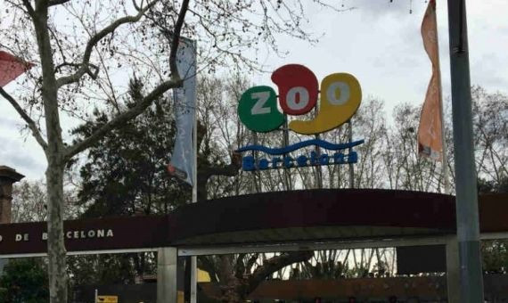 El Zoo de Barcelona / CARLOS RUFAS