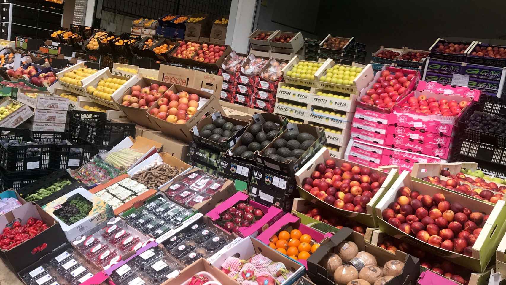 Frutas expuestas en una de las tiendas de Mercabarna, ubicado en la Zona Franca de Barcelona