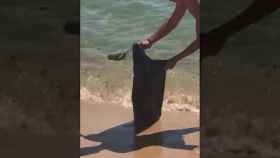 Un joven recoge una rata muerta en la playa Bogatell de Barcelona / MA