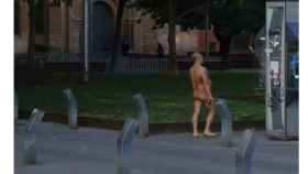 Un hombre se pasea completamente desnudo por Barcelona