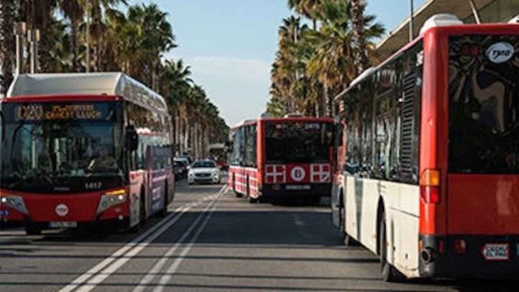 Buses de TMB en una calle de Barcelona / TMB