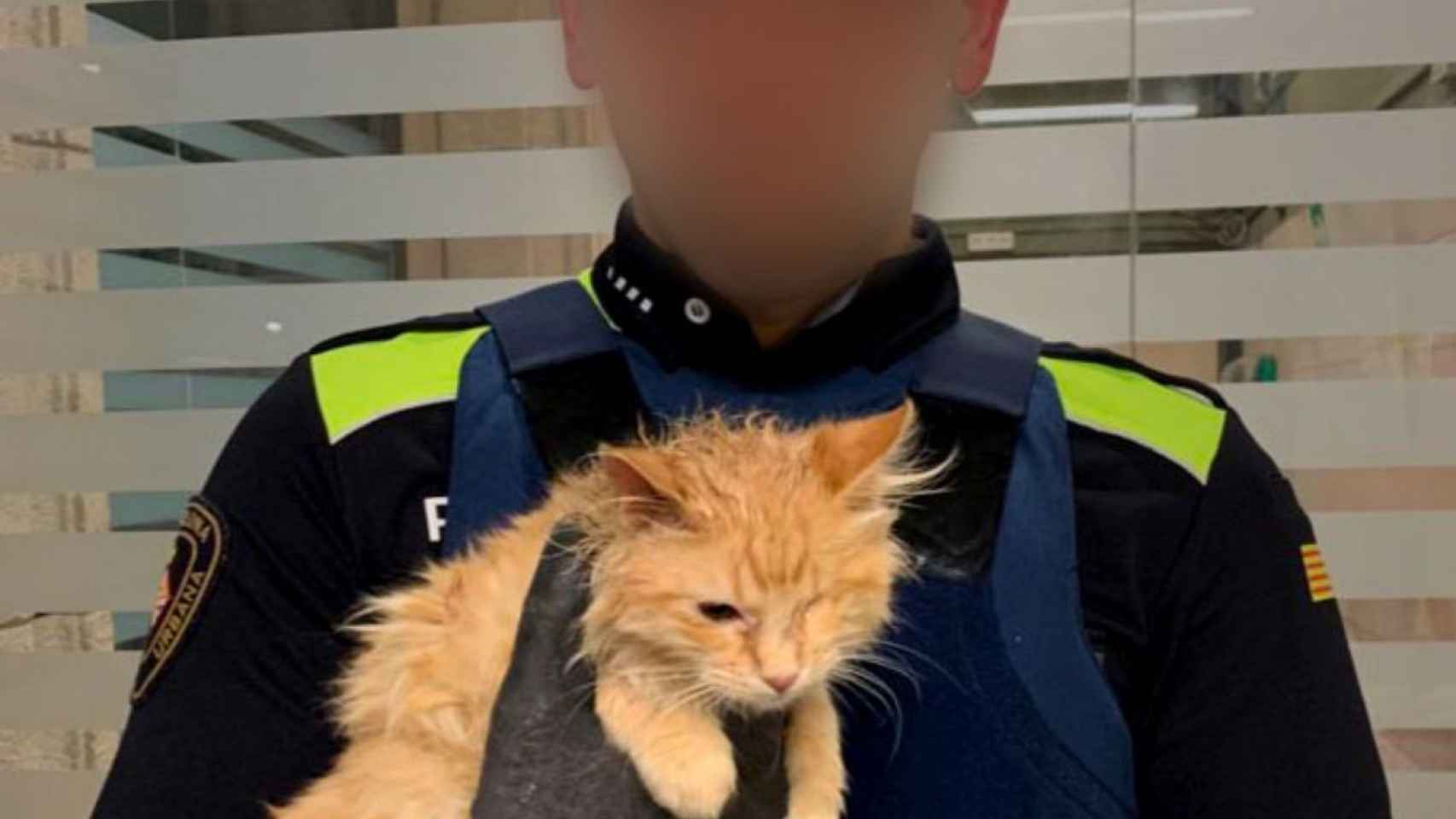 Un agente de la Guardia Urbana, con el gato herido en brazos.