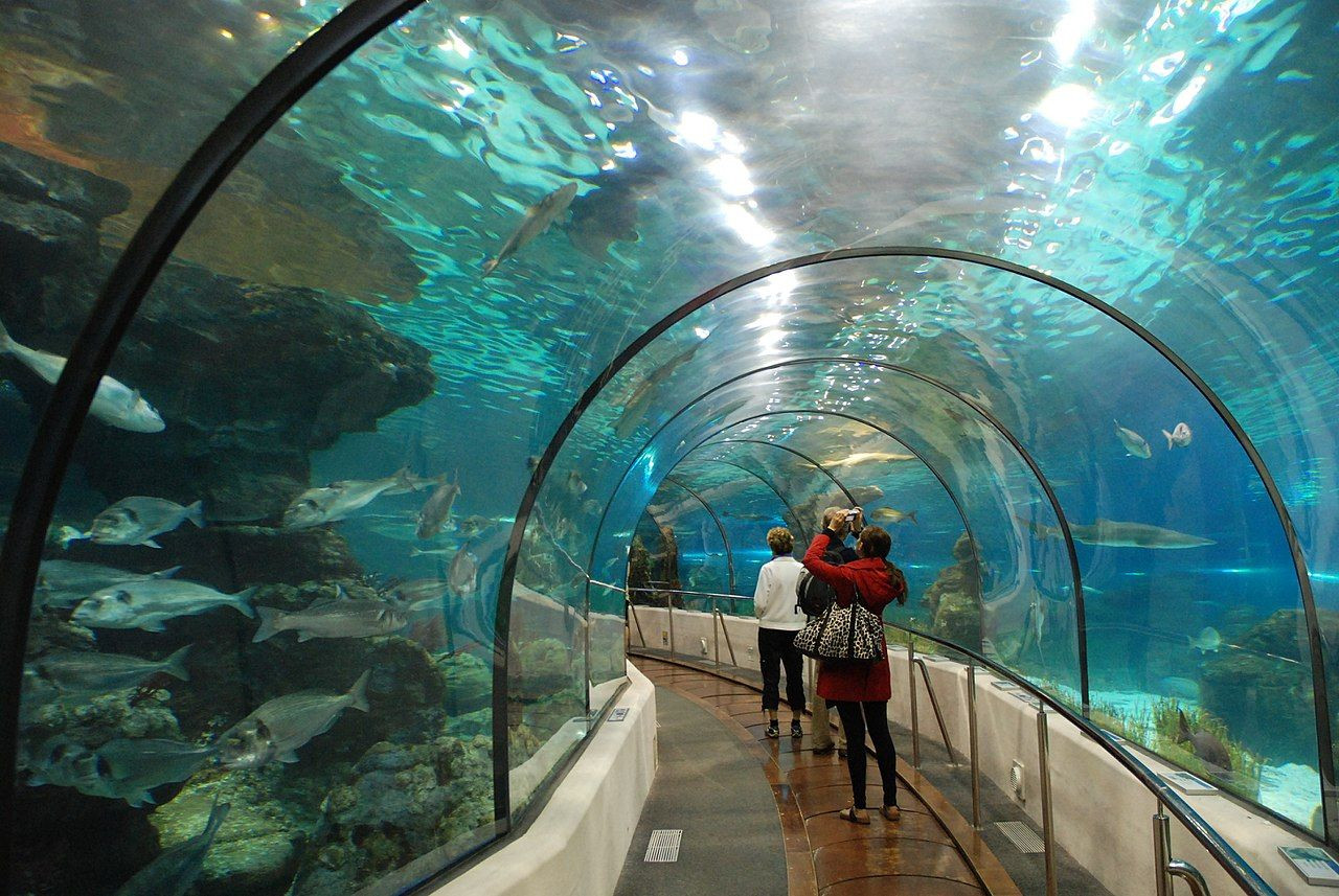 Interior del Aquarium de Barcelona, uno de los mejores planes para realizar con bebés / Paul Hermans - PIXABAY