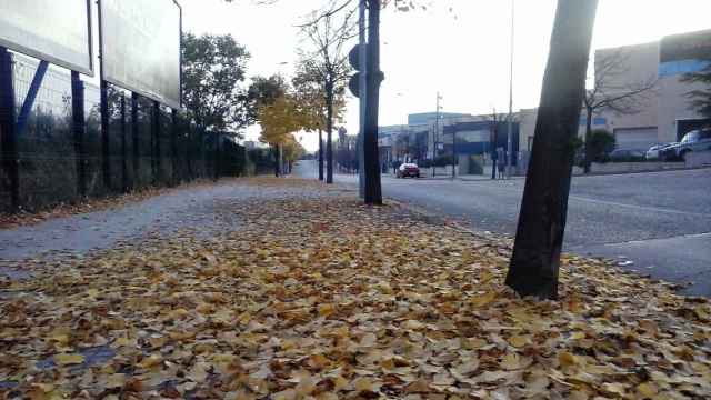 Calle Miño de Terrassa, lugar donde se ha producido el accidente