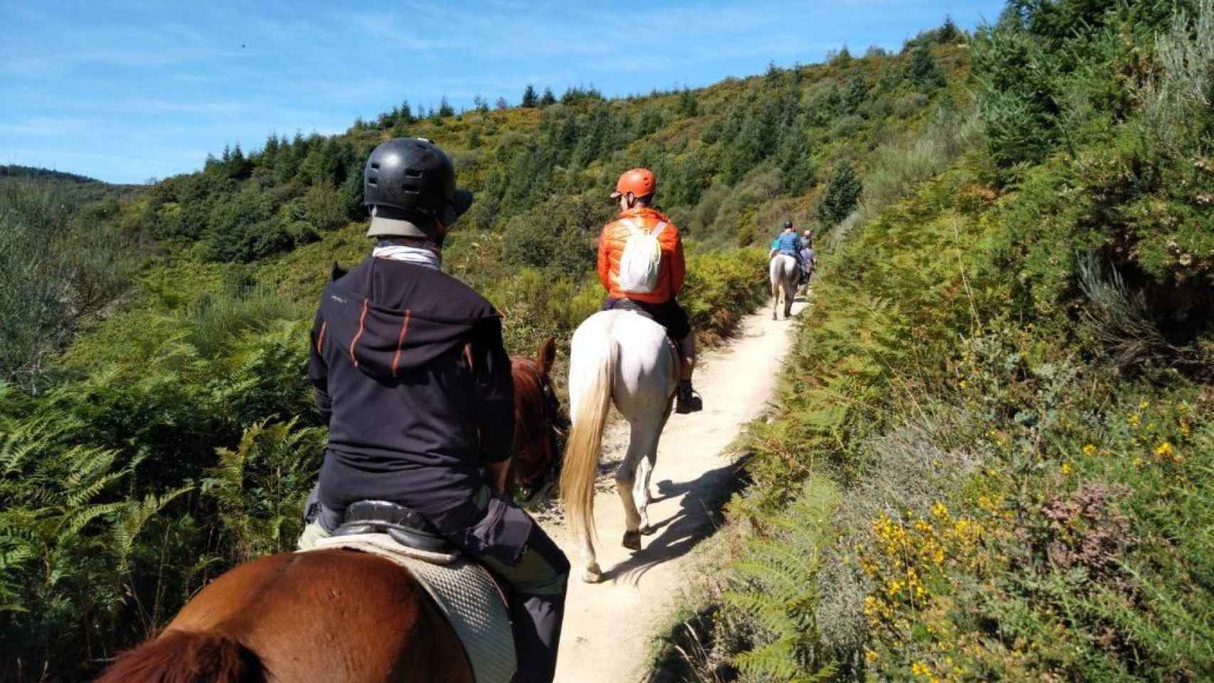Varias personas durante una excursión a caballo