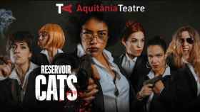 Cartel de la obra 'Reservoir Cats', que se estrenó en el Aquitània Teatre de Barcelona el pasado 16 de enero