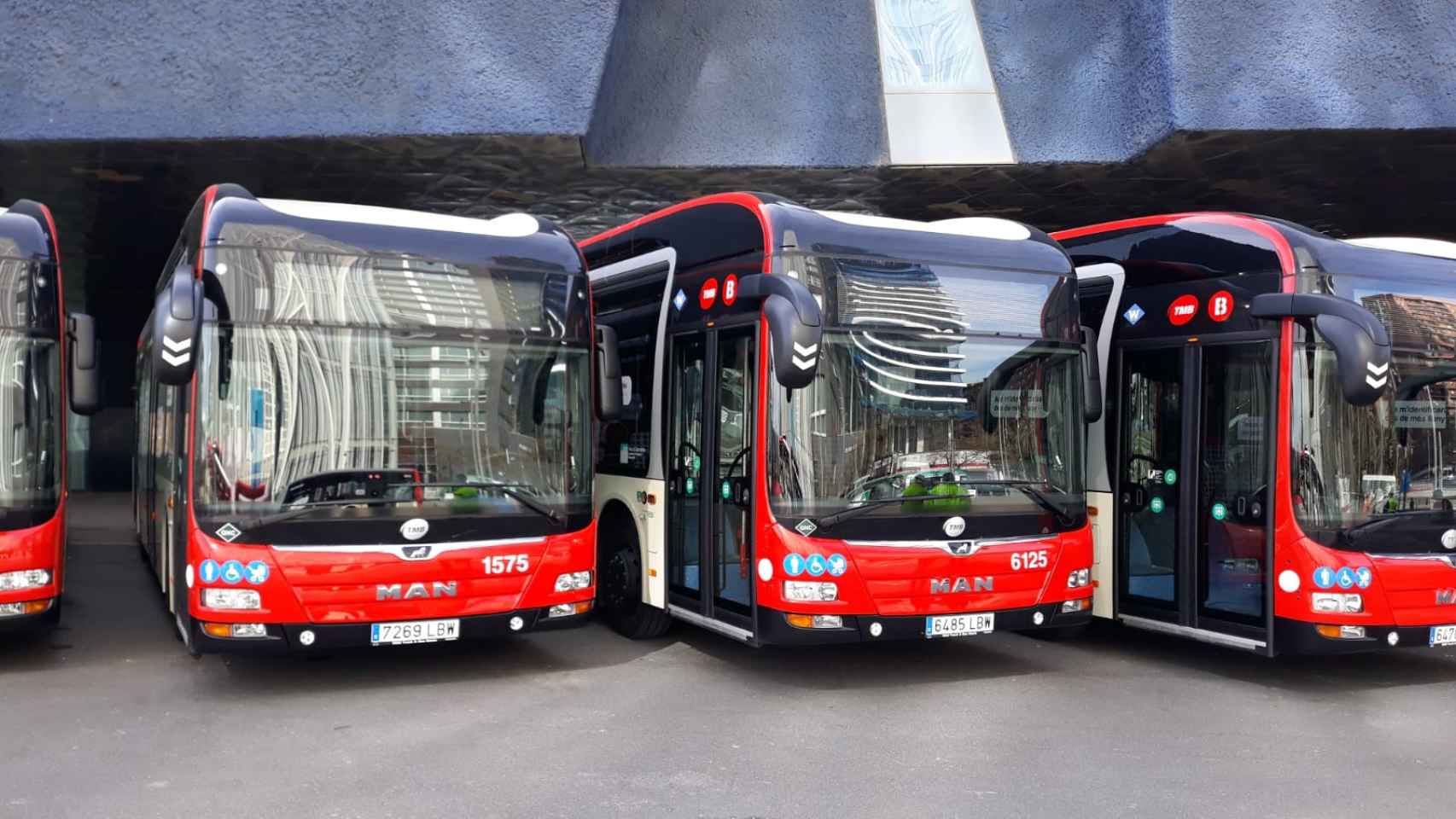 Algunos de los nuevos buses de TMB, en el Fòrum este jueves / MA