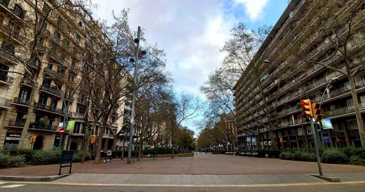 Remodelacion del pavimento en el Paseo de Gracia de Barcelona