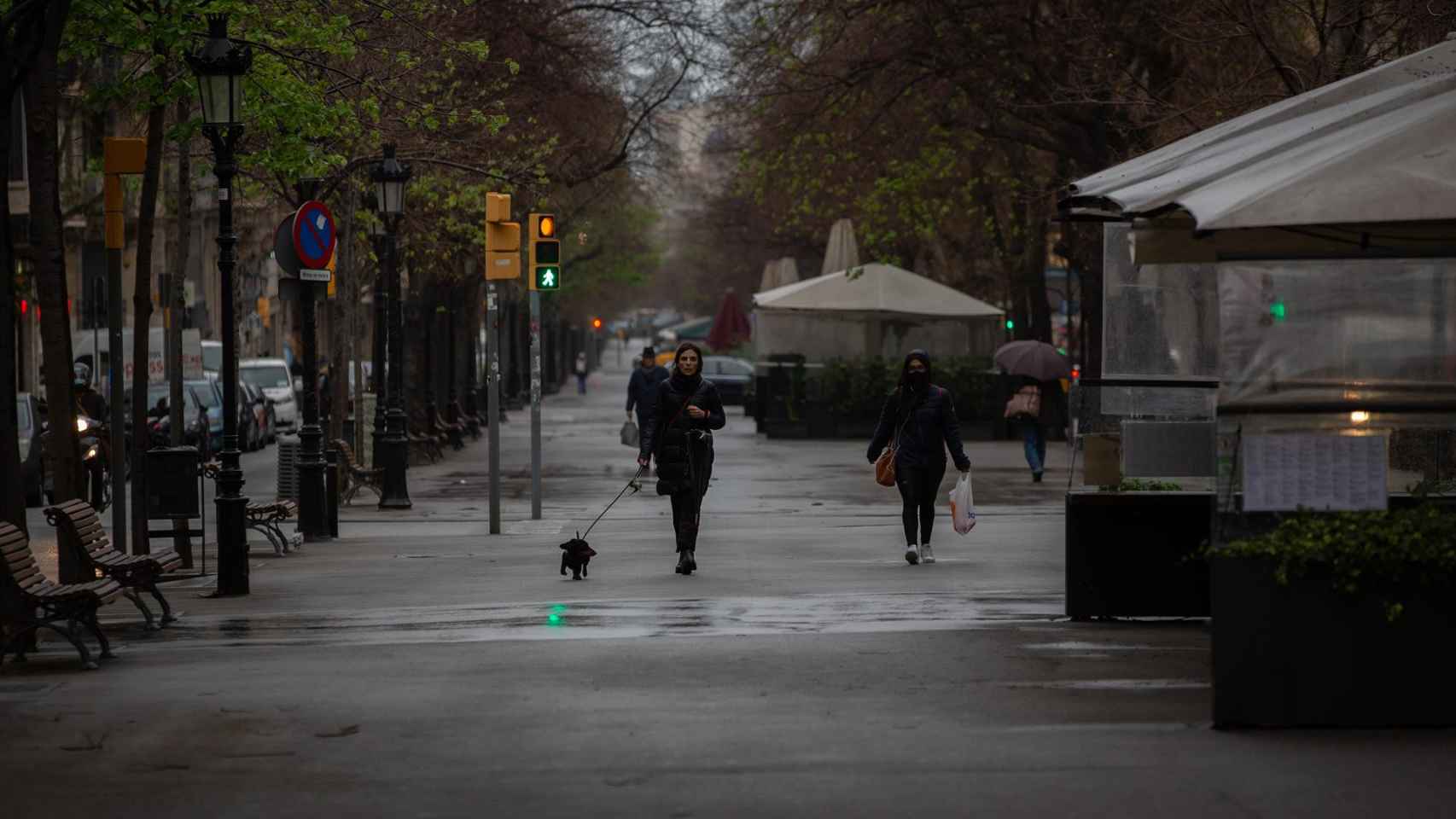 Una persona paseando el perro por la calle / EP