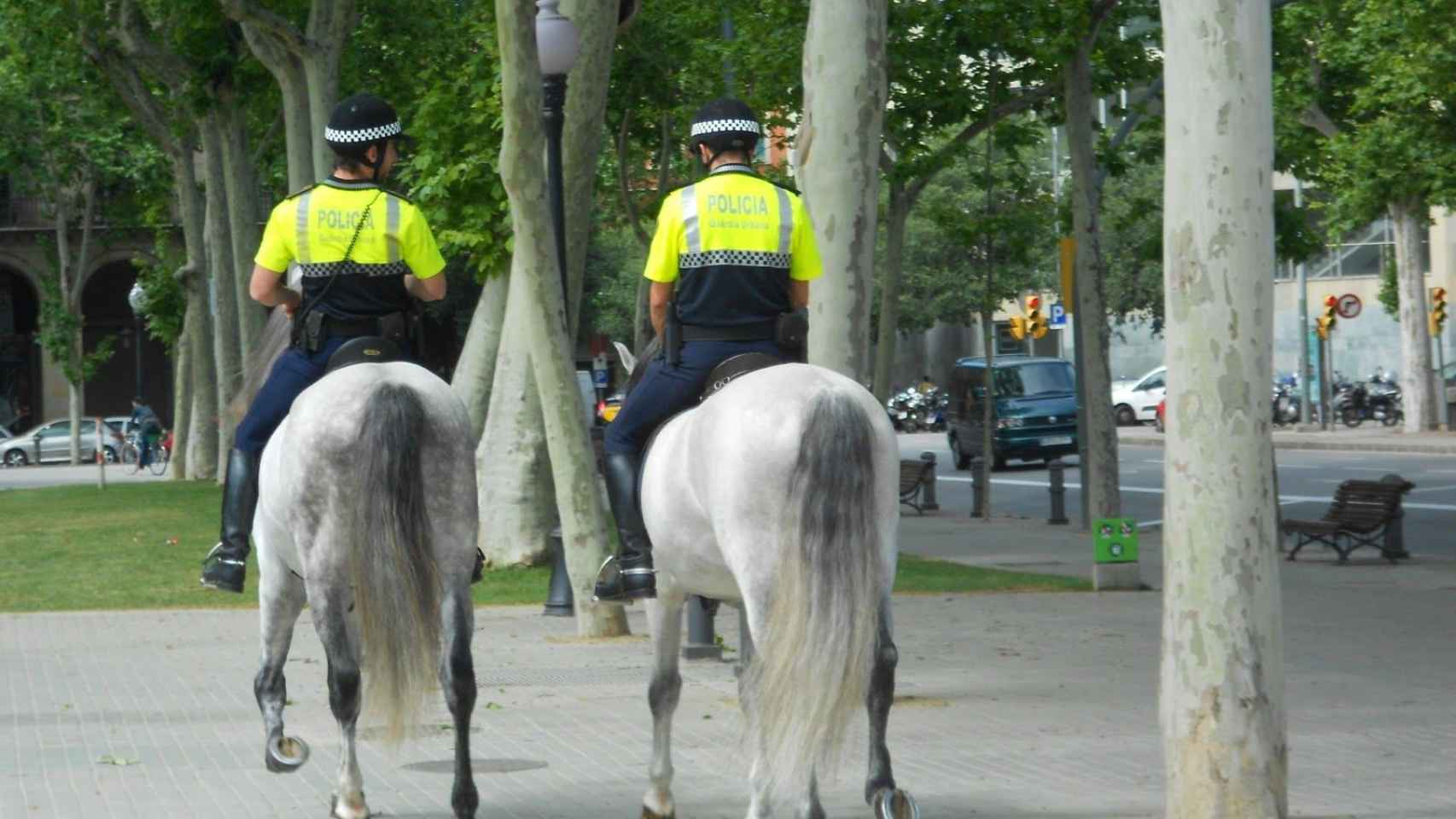 Dos agentes de la Guardia Urbana, a caballo / ARCHIVO