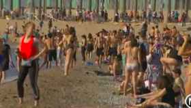 Centenares de personas toman el sol en las playas de Barcelona / TV3