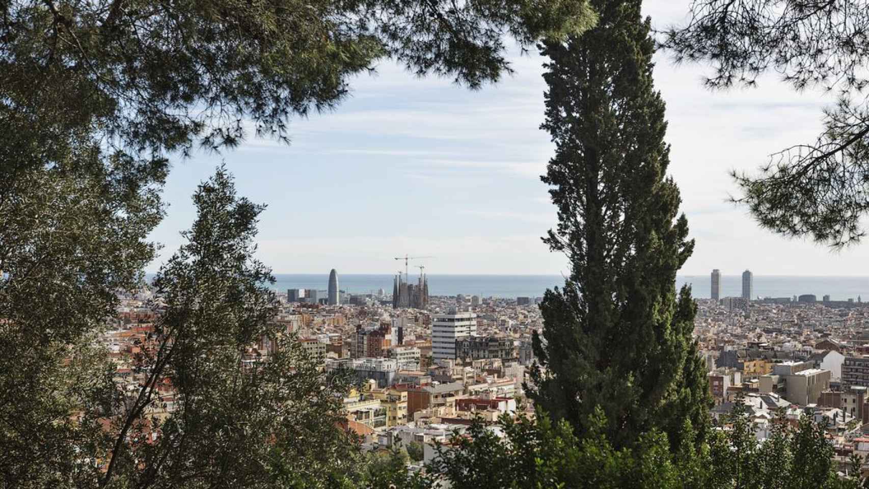 Vista panorámica de Barcelona con la Sagrada Familia de fondo / TMB