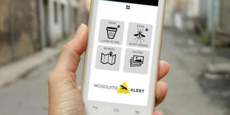 Imagen de promoción de la app 'Mosquito Alert' / AJ. DE BCN