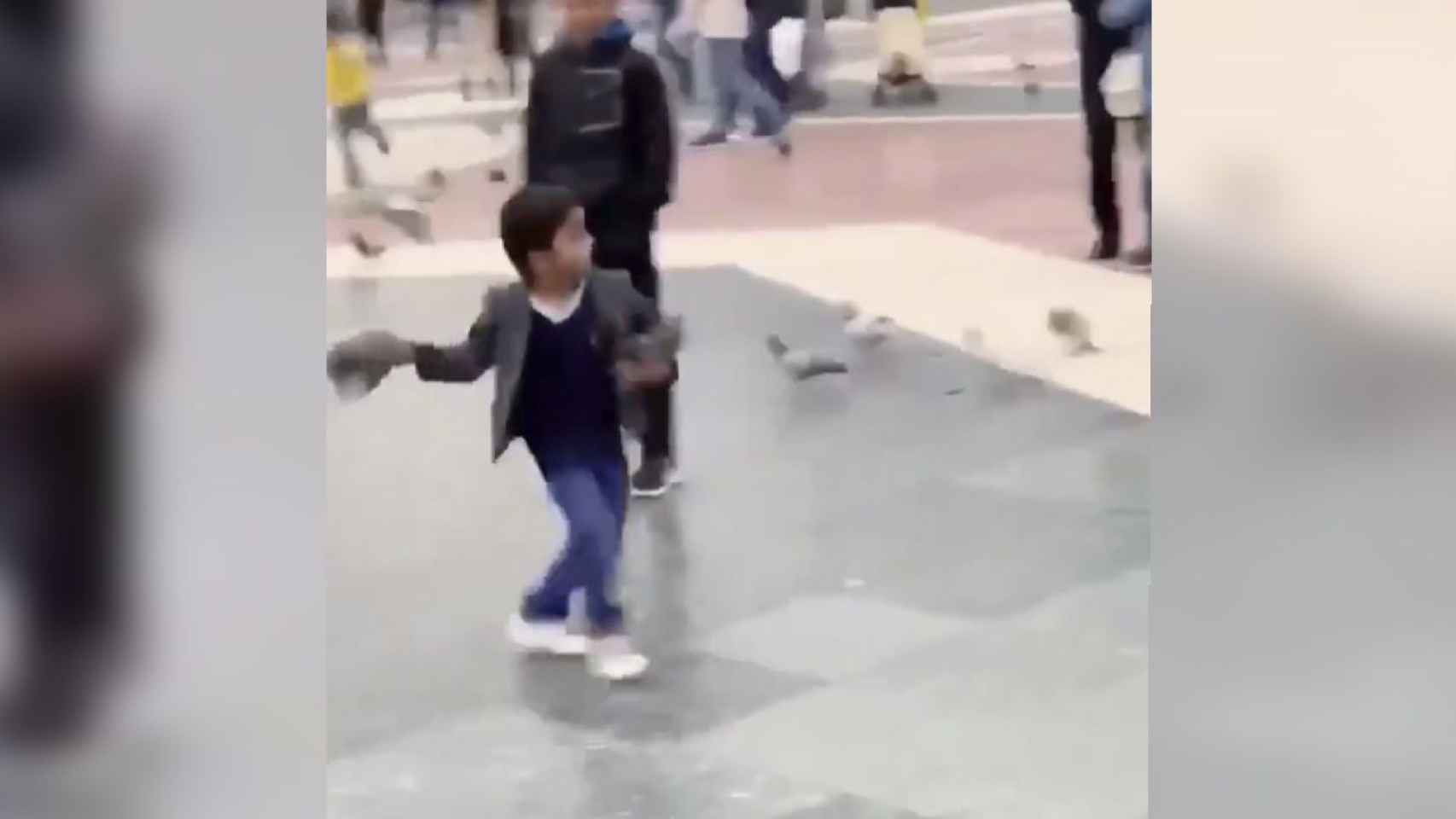 Captura de pantalla del vídeo del niño arrojando de forma violenta palomas / TWITTER